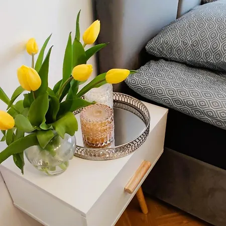 Apartament Strzelecka 19
