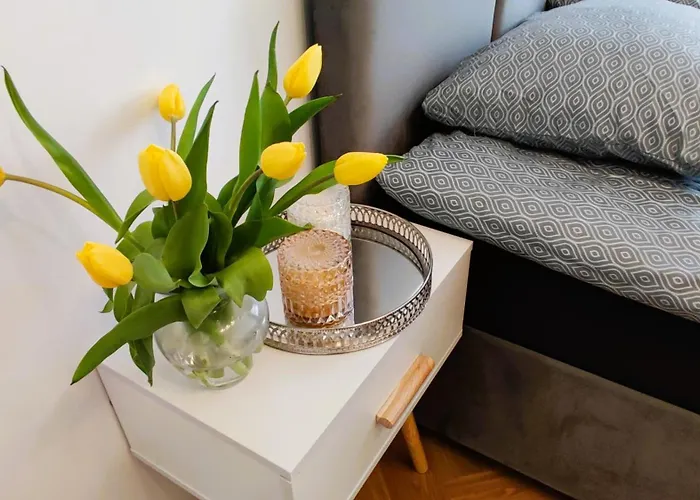 Appartamento Strzelecka 19